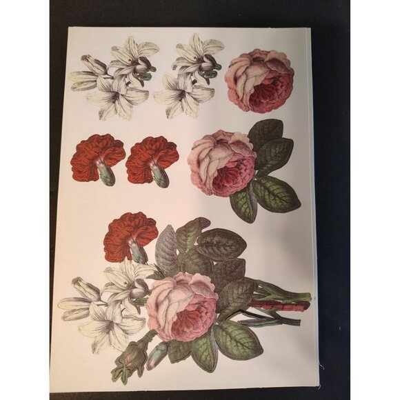 Anna Griffin Die Cut Paper Flowers 46 Sheets Sunflower Iris Carnation Scrapbook - Picture 4 of 7